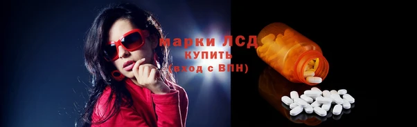 сатива Белокуриха