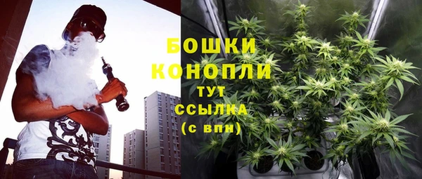сатива Белокуриха