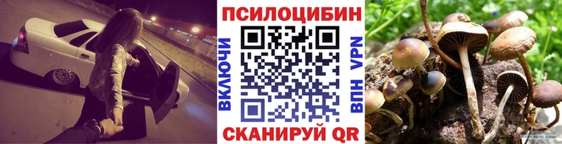 цена наркотик  Луховицы  кракен как войти  Псилоцибиновые грибы мицелий 