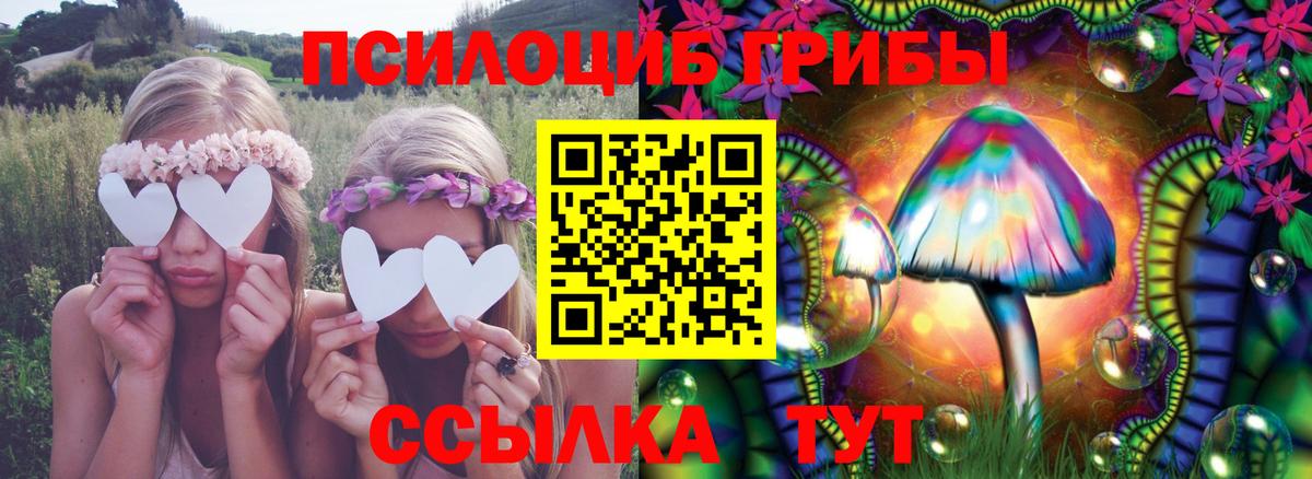 Луховицы  Галлюциногенные грибы Psilocybine cubensis  Вход с VPN 