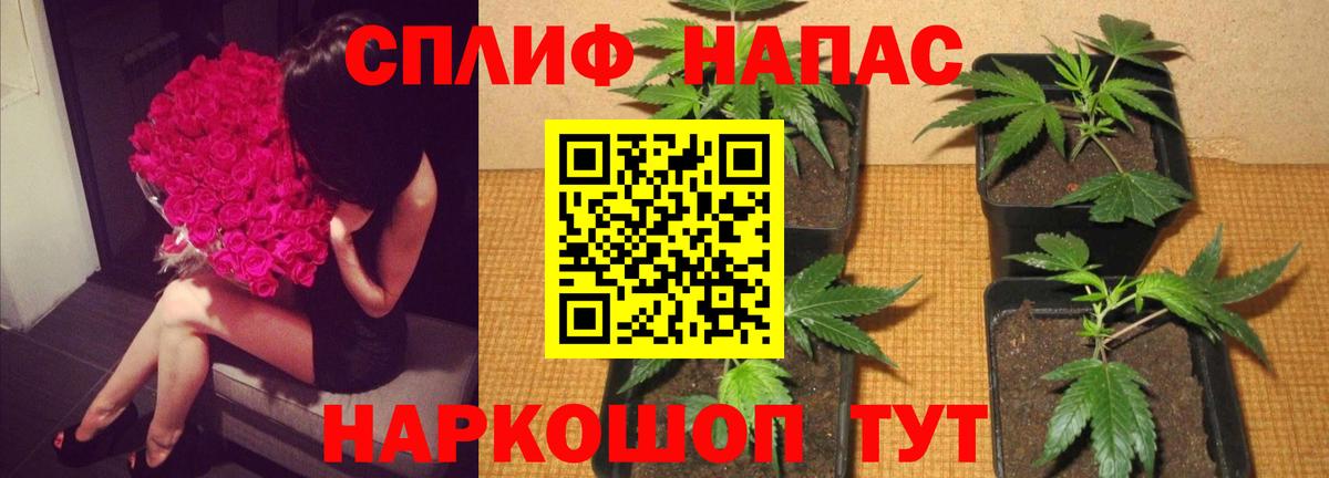 Марихуана индика  Вход с VPN  Бошки Шишки тримм  Луховицы  Конопля White Widow 
